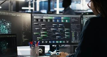 Bespoke Software Development
